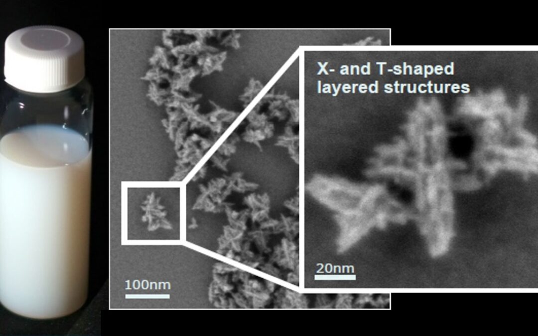 DKA 2025 November Newsletter