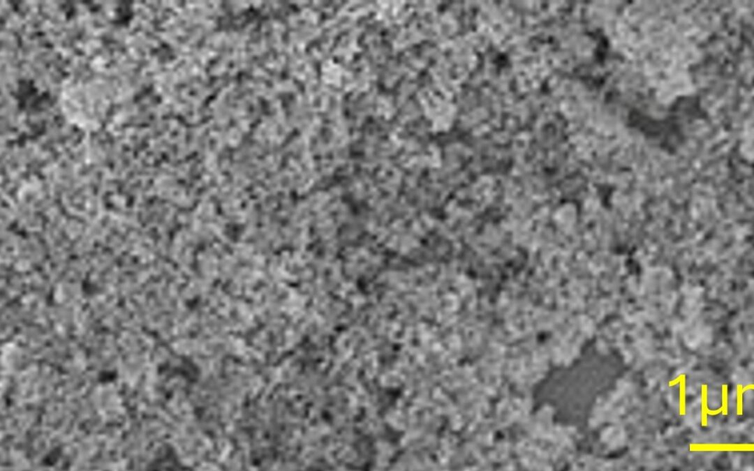 DKA 2026 January Newsletter