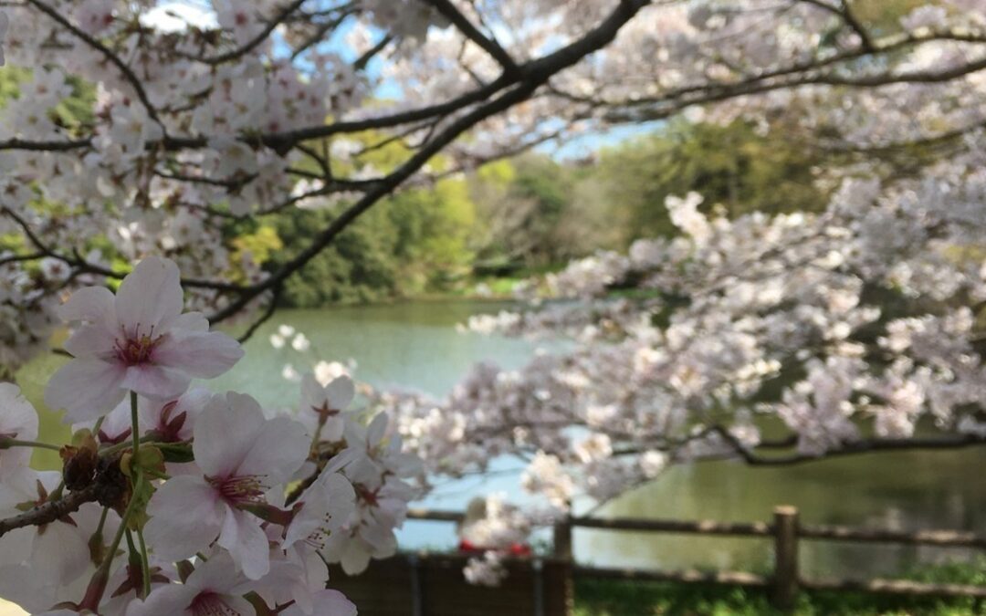 DKA 2026 April Newsletter